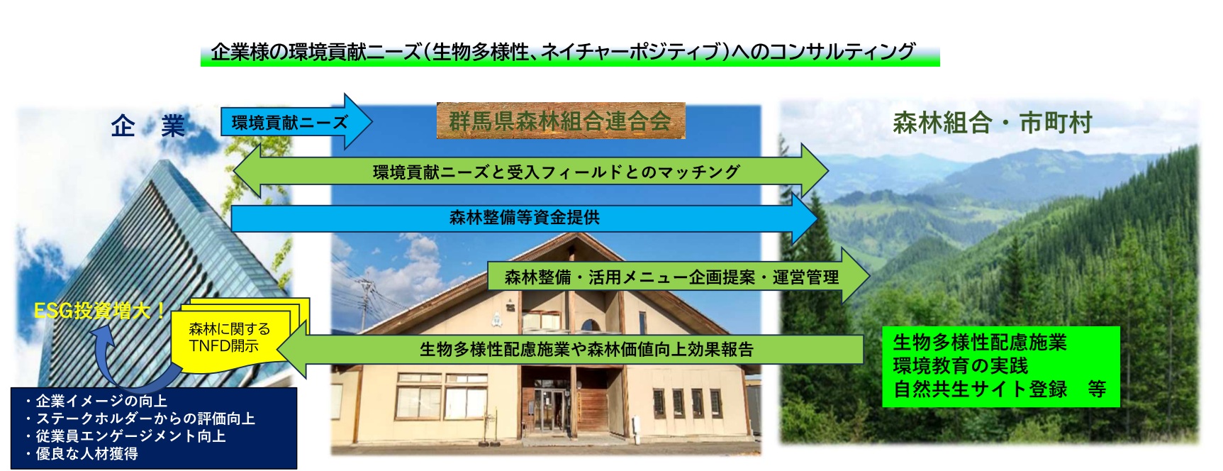 環境貢献コンサルティング